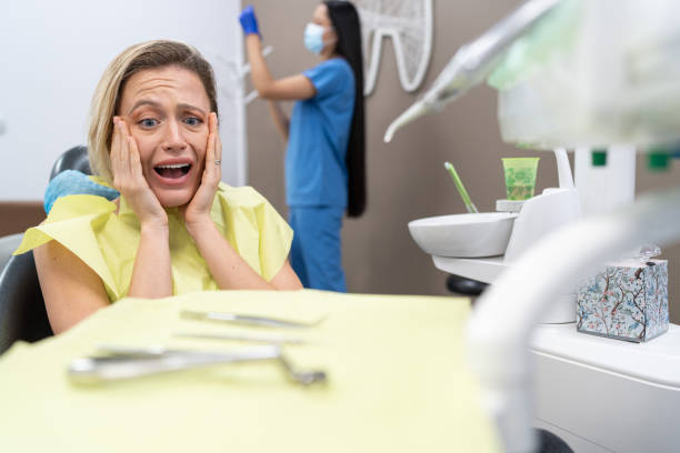 Best Chipped Tooth Repair Near Me  in Bayshore Gardens, FL